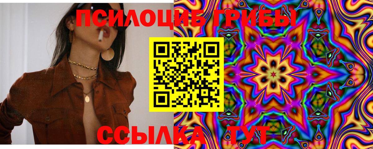 Галлюциногенные грибы ЛСД Богданович