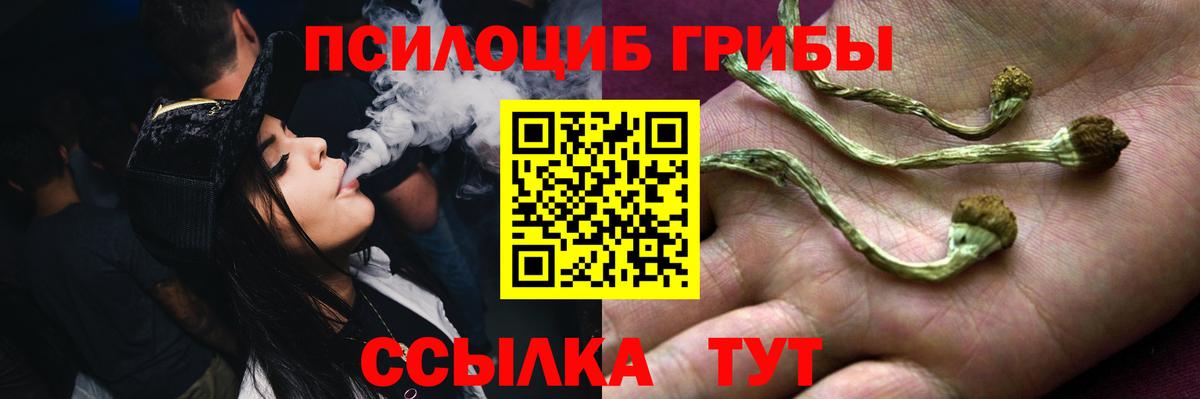 Богданович  Галлюциногенные грибы прущие грибы  Вход с VPN 